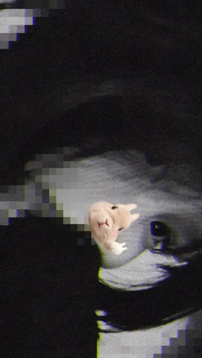 Ảnh Gái 18 Tuổi Che Mặt - Hình Ảnh Ngây Thơ Đáng Yêu 40