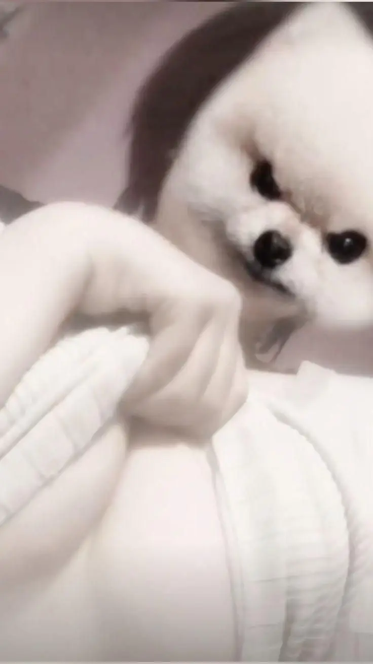 Ảnh Gái Cute Chụp Instagram - Hình Ảnh Độc Đáo Và Ngộ Nghĩnh 51