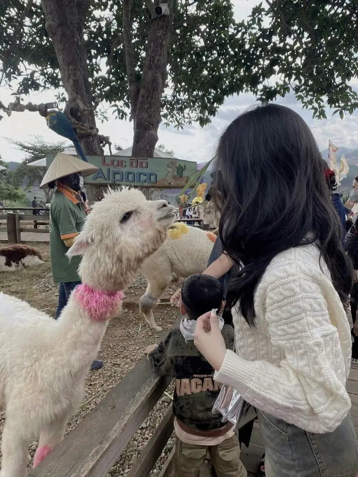 Ảnh Gái Đẹp Tóc Ngắn Che Mặt: Sự Cuốn Hút Trong Bí Ẩn 50