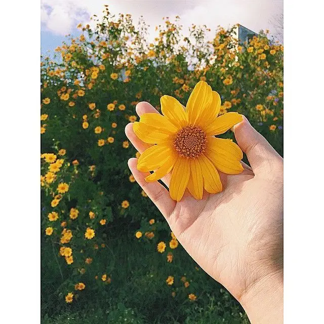 Ảnh Gái Xinh Giống Thật - Những Hình Ảnh Đáng Yêu 59