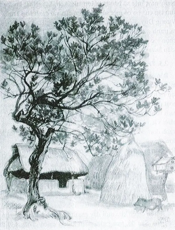 Vẽ Tranh Phong Cảnh Trong Hình Tròn - Kỹ Thuật Bằng Bút Chì 62