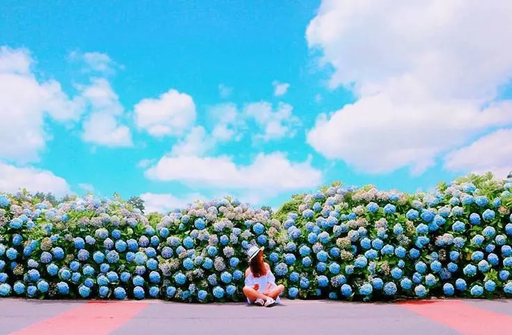 Bầu Trời Xanh: Ảnh Avatar Đẹp Dành Cho Con Gái 29