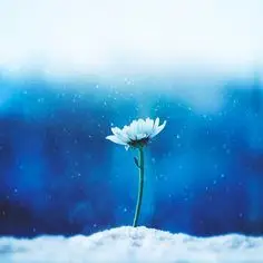 Bầu Trời Xanh: Ảnh Avatar Đẹp Dành Cho Con Gái 47