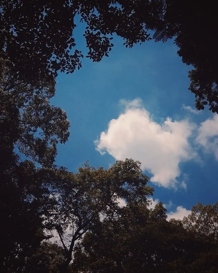 Bầu Trời Xanh: Ảnh Avatar Đẹp Dành Cho Con Gái 73