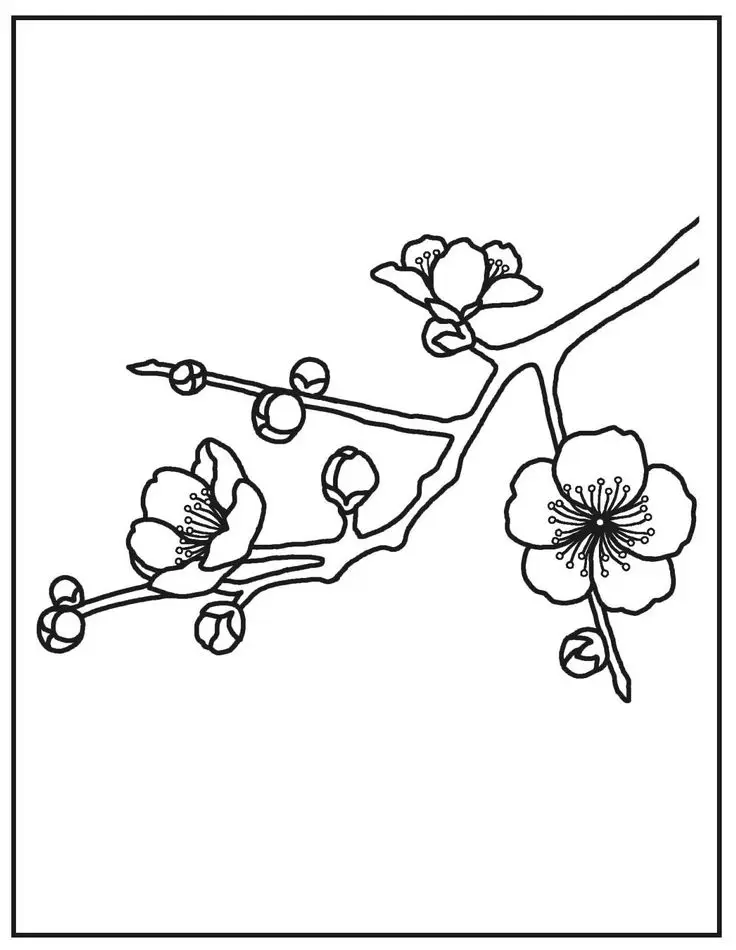 Thiết Kế Bình Hoa Tô Màu Lọ Hoa Độc Đáo 32