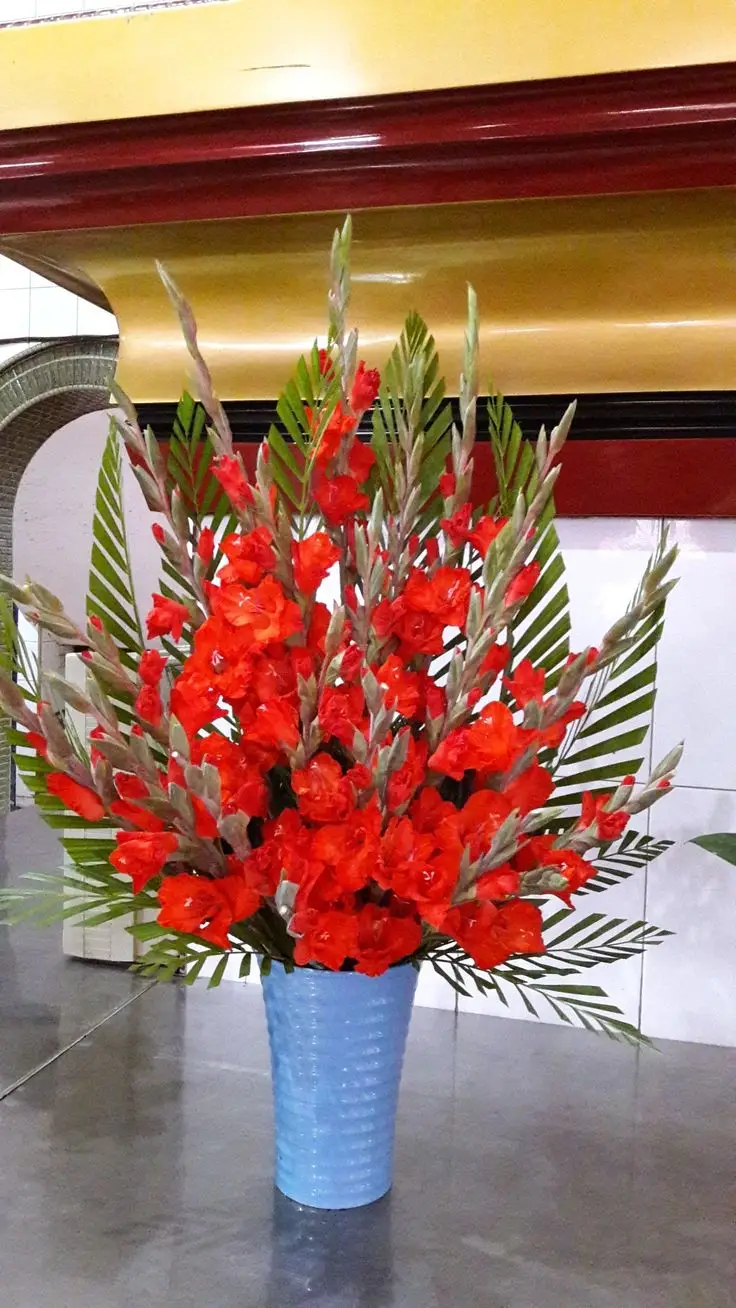 Cách cắm hoa lay ơn ngày Tết: Ý tưởng đẹp cho không gian của bạn 15