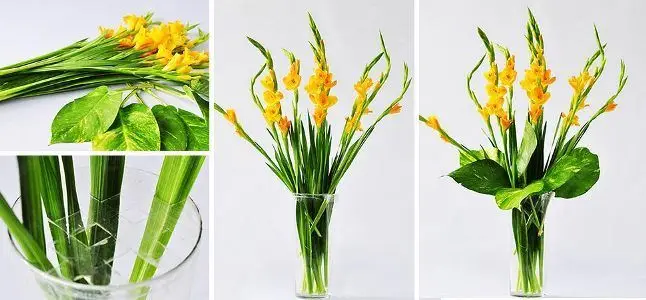 Cách cắm hoa lay ơn ngày Tết: Ý tưởng đẹp cho không gian của bạn 17