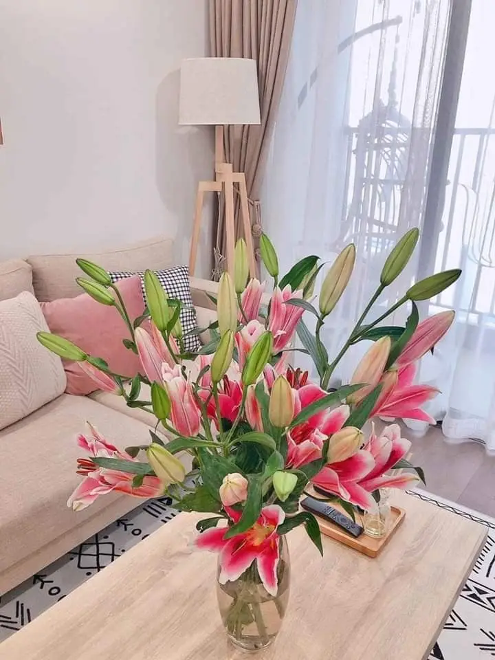 Cách cắm hoa lay ơn ngày Tết: Ý tưởng đẹp cho không gian của bạn 24