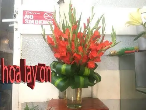 Cách cắm hoa lay ơn ngày Tết: Ý tưởng đẹp cho không gian của bạn 31