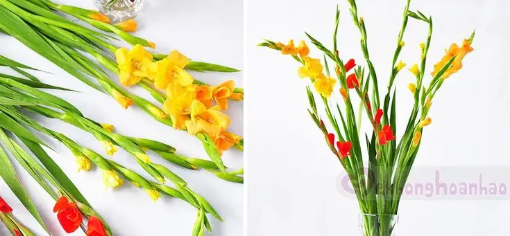 Cách cắm hoa lay ơn ngày Tết: Ý tưởng đẹp cho không gian của bạn 33