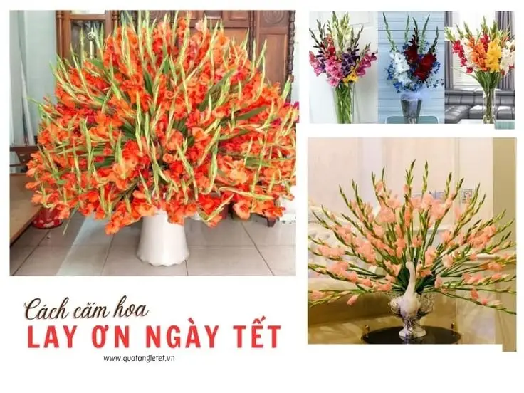 Cách cắm hoa lay ơn ngày Tết: Ý tưởng đẹp cho không gian của bạn 67