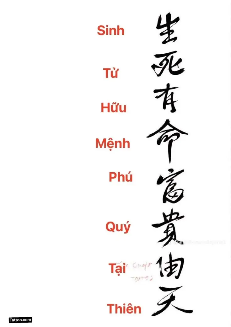 Hình Xăm Chữ Tàu Giàu Sang 3