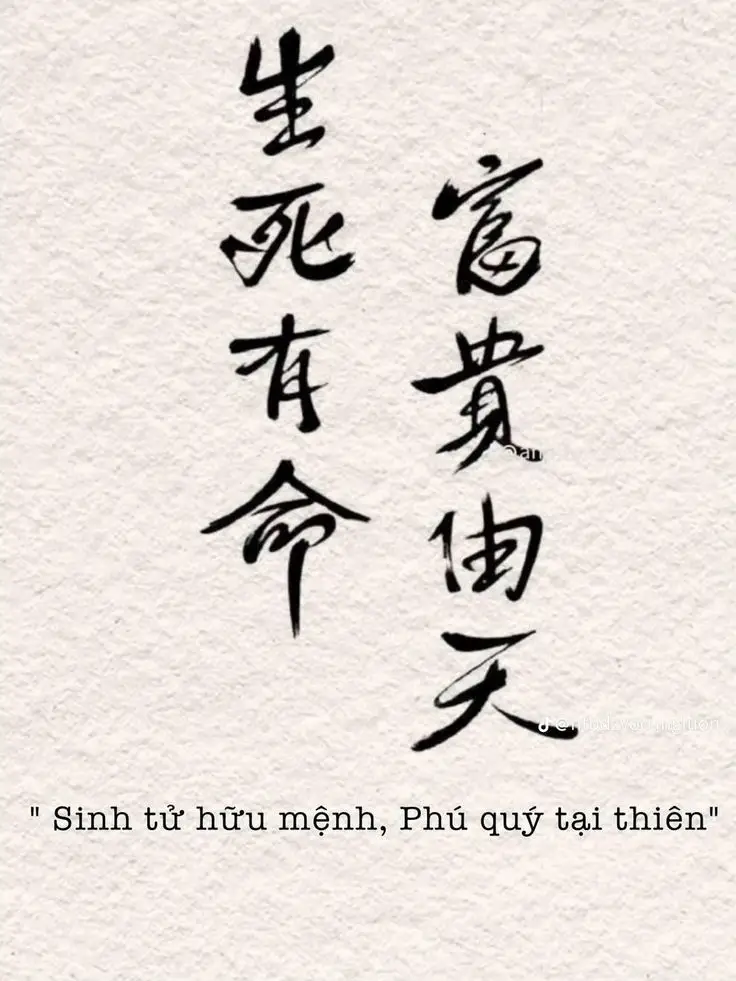 Hình Xăm Chữ Tàu Giàu Sang 18