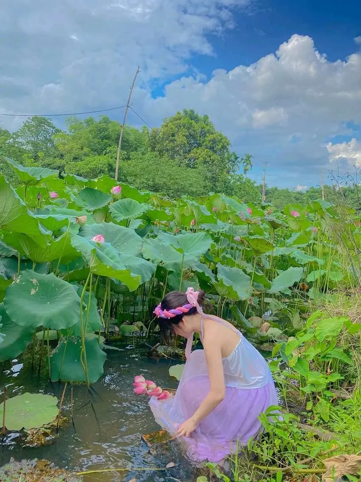 Ảnh Cô Gái Quay Lưng Đẹp: BST Hình Ảnh Cuốn Hút 54