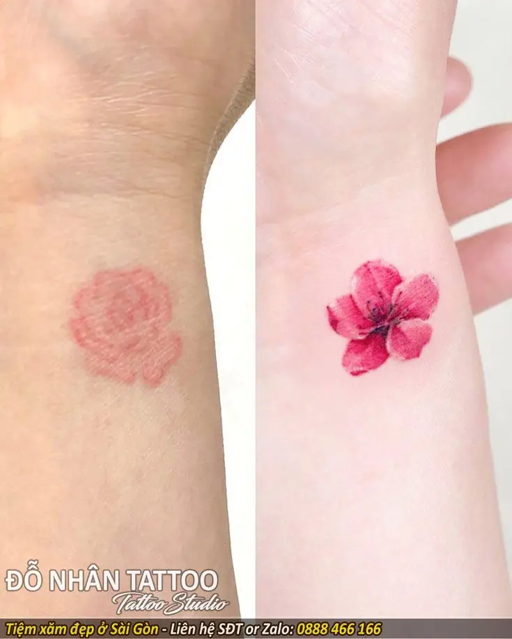 Hình Xăm Hoa Hồng Đẹp ở Tay Nữ 7