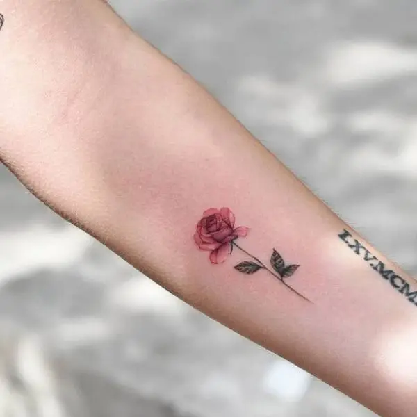 Hình Xăm Hoa Hồng Đẹp ở Tay Nữ 8