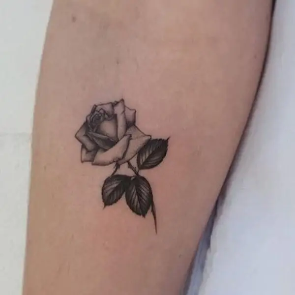 Hình Xăm Hoa Hồng Đẹp ở Tay Nữ 16