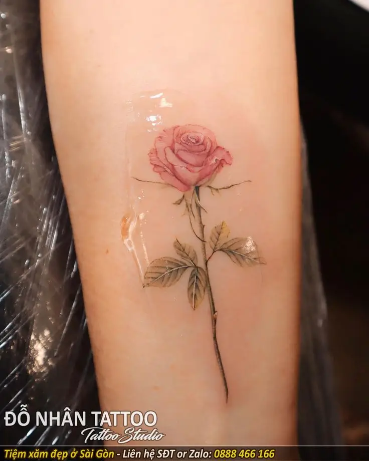 Hình Xăm Hoa Hồng Đẹp ở Tay Nữ 28