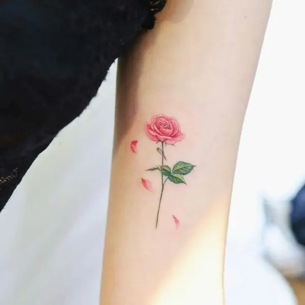 Hình Xăm Hoa Hồng Đẹp ở Tay Nữ 36