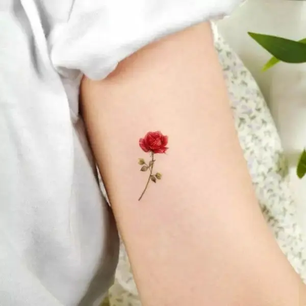 Hình Xăm Hoa Hồng Đẹp ở Tay Nữ 48