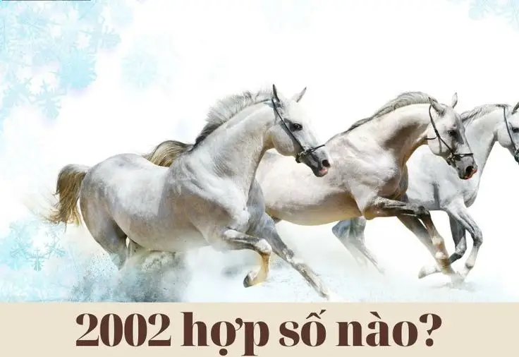 Những Hình Xăm Hợp Tuổi Ngọ 2002 Nam 60