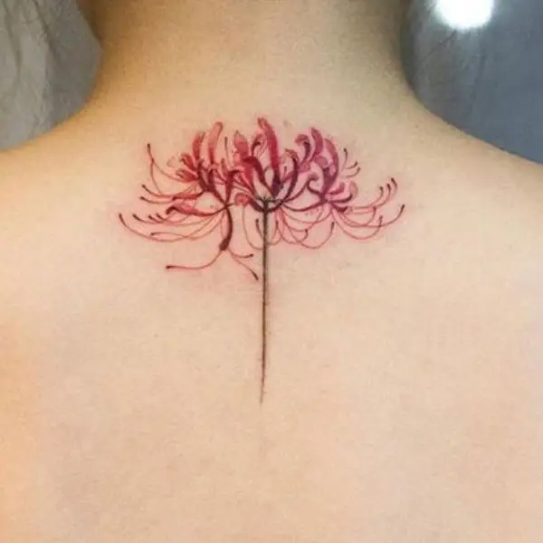 Hoa Bỉ Ngạn Hình Xăm – Sự Kết Hợp Giữa Sắc Đẹp Và Nỗi Buồn 4