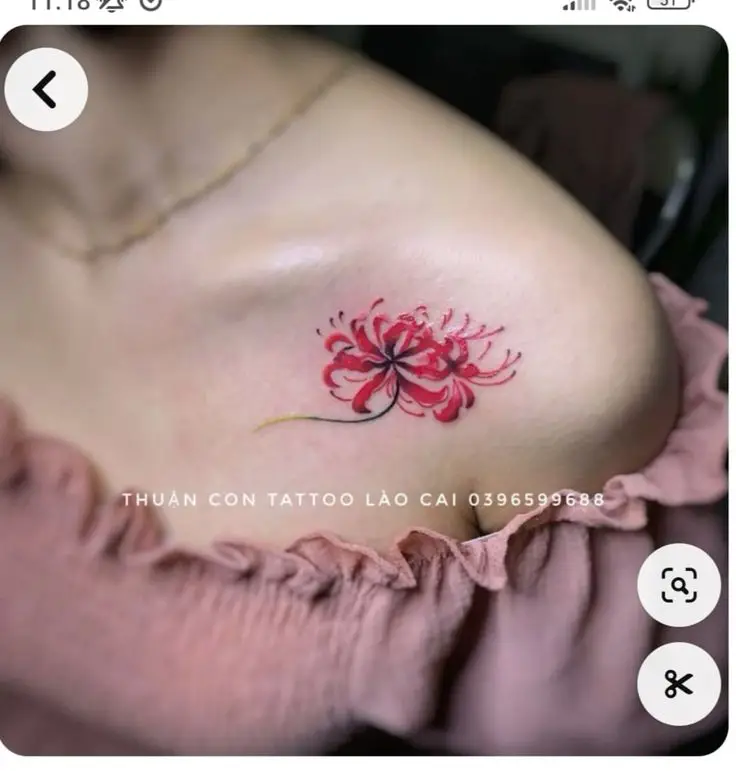 Hoa Bỉ Ngạn Hình Xăm – Sự Kết Hợp Giữa Sắc Đẹp Và Nỗi Buồn 6