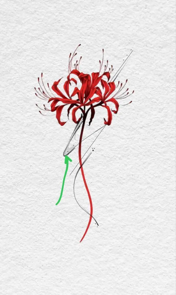 Hoa Bỉ Ngạn Hình Xăm – Sự Kết Hợp Giữa Sắc Đẹp Và Nỗi Buồn 9