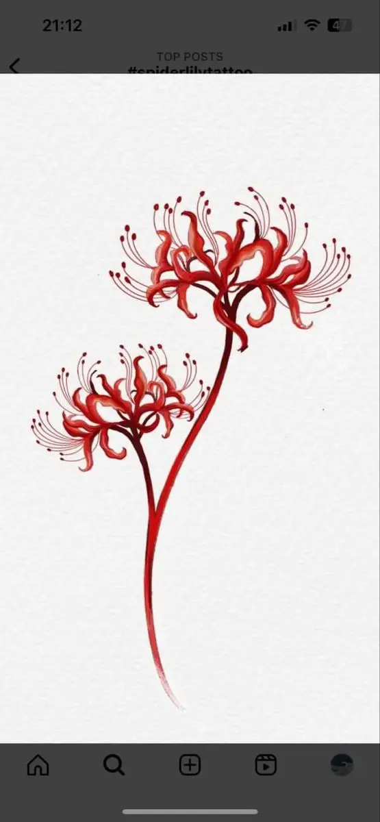 Hoa Bỉ Ngạn Hình Xăm – Sự Kết Hợp Giữa Sắc Đẹp Và Nỗi Buồn 35