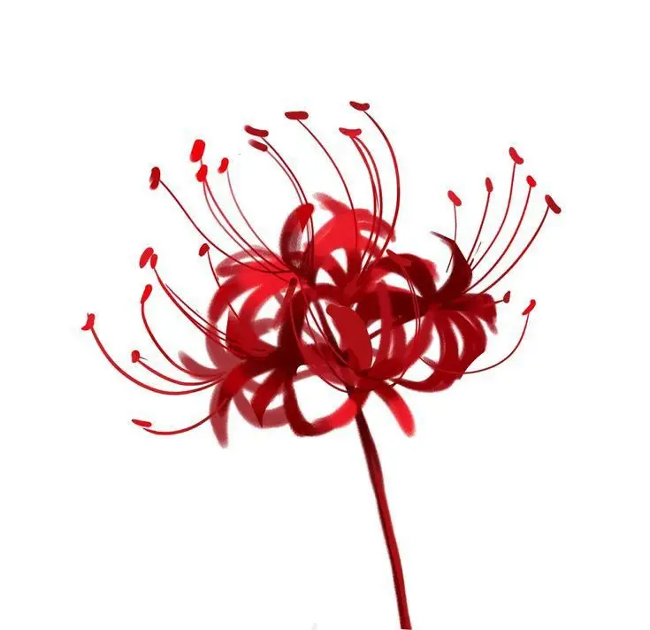 Hoa Bỉ Ngạn Hình Xăm – Sự Kết Hợp Giữa Sắc Đẹp Và Nỗi Buồn 43