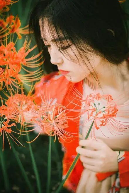 Hoa bỉ ngạn và cô gái - Hình ảnh thơ mộng và sâu lắng 7