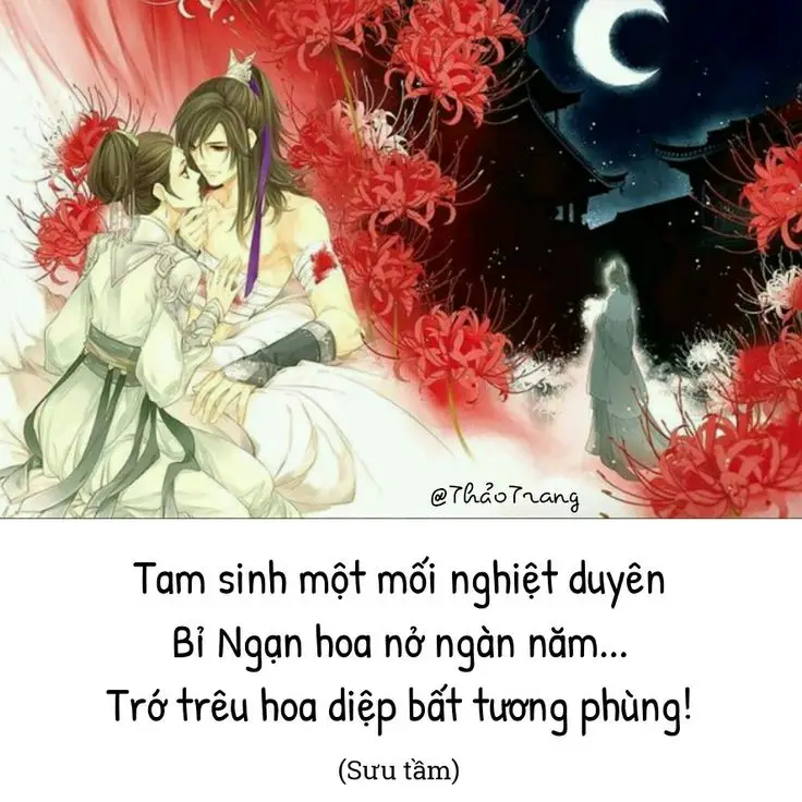 Hoa bỉ ngạn và cô gái - Hình ảnh thơ mộng và sâu lắng 28