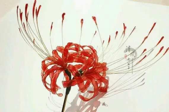 Hoa bỉ ngạn và cô gái - Hình ảnh thơ mộng và sâu lắng 43