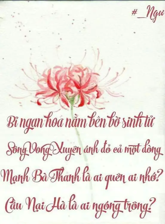 Hoa bỉ ngạn và cô gái - Hình ảnh thơ mộng và sâu lắng 58