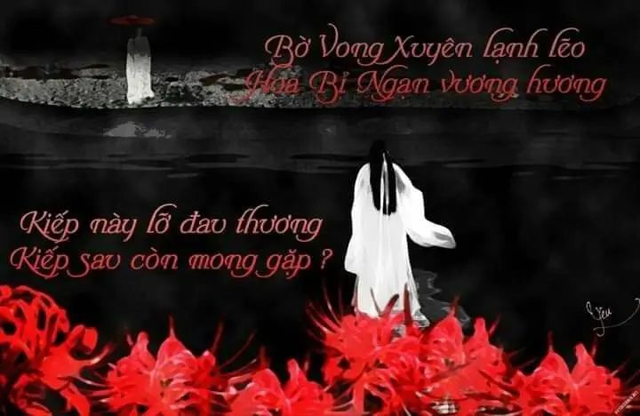 Hoa bỉ ngạn và cô gái - Hình ảnh thơ mộng và sâu lắng 60