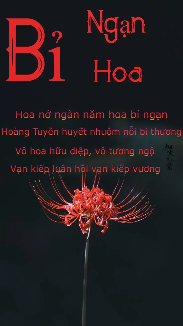 Hoa bỉ ngạn và cô gái - Hình ảnh thơ mộng và sâu lắng 72