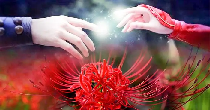 Hoa bỉ ngạn và cô gái - Hình ảnh thơ mộng và sâu lắng 73