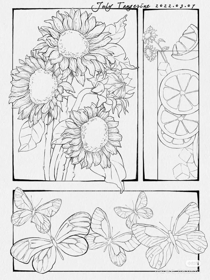 Hoa Hướng Dương Tô Màu - Nguồn Cảm Hứng Từ Thiên Nhiên 3