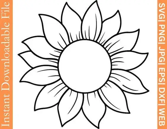 Hoa Hướng Dương Tô Màu - Nguồn Cảm Hứng Từ Thiên Nhiên 14