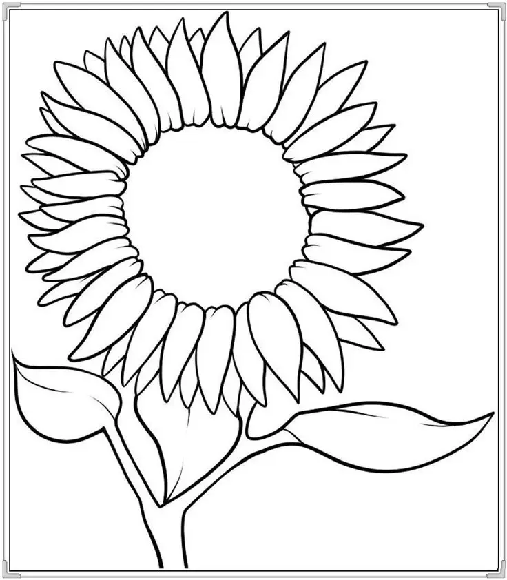 Hoa Hướng Dương Tô Màu - Nguồn Cảm Hứng Từ Thiên Nhiên 34