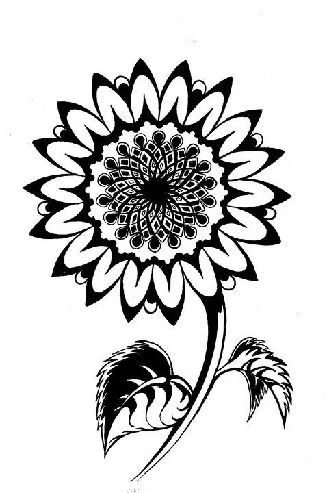 Hoa Hướng Dương Tô Màu - Nguồn Cảm Hứng Từ Thiên Nhiên 38