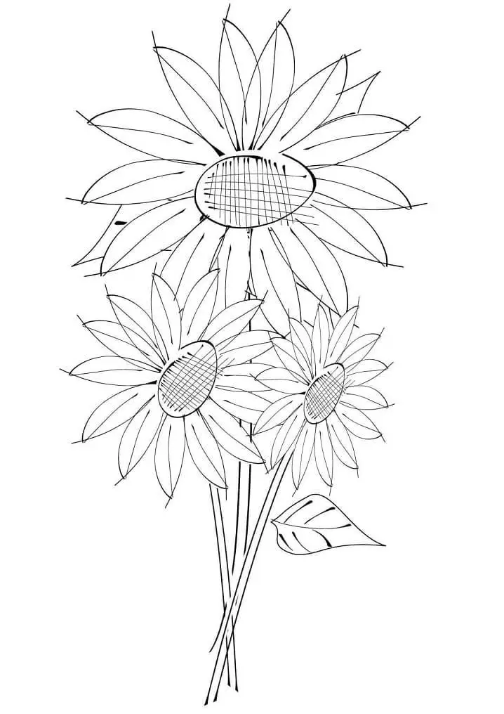 Hoa Hướng Dương Tô Màu - Nguồn Cảm Hứng Từ Thiên Nhiên 54