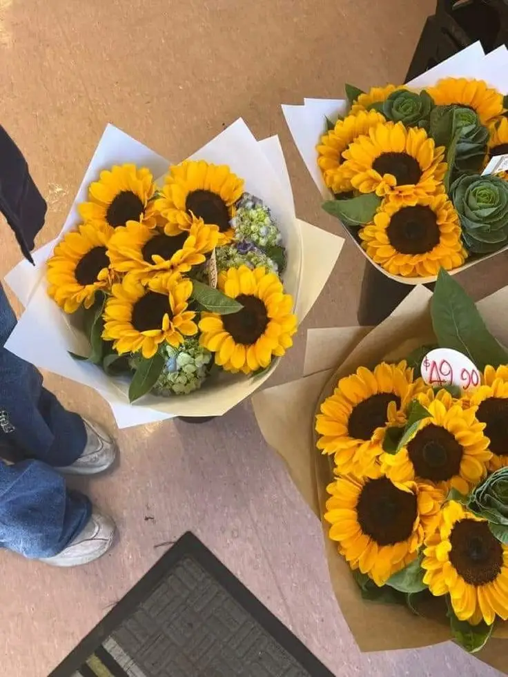 Tải Ảnh Hoa Hướng Dương Đẹp Nhất: Bộ Sưu Tập Đáng Chiêm Ngưỡng 21