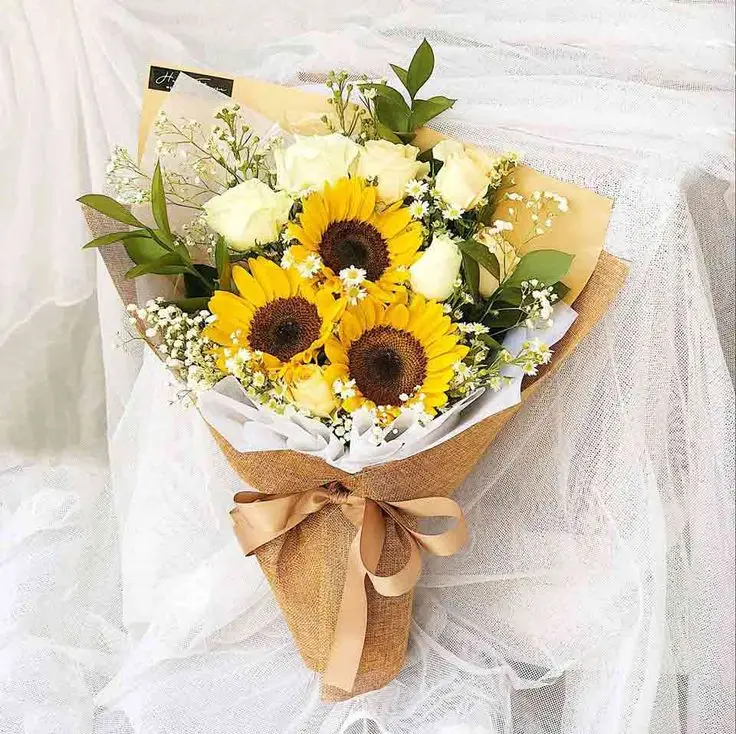 Tải Ảnh Hoa Hướng Dương Đẹp Nhất: Bộ Sưu Tập Đáng Chiêm Ngưỡng 33