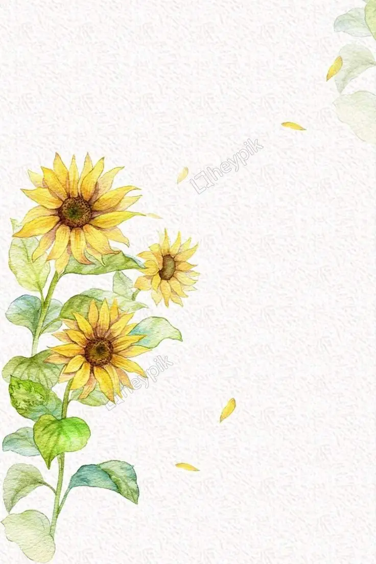 Tải Ảnh Hoa Hướng Dương Đẹp Nhất: Bộ Sưu Tập Đáng Chiêm Ngưỡng 58
