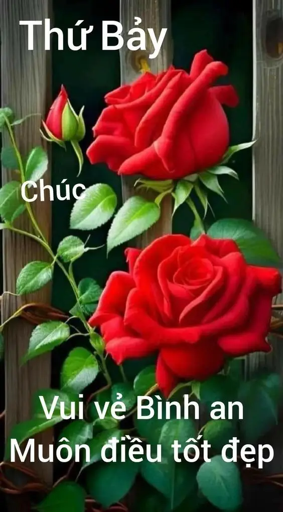 Thiệp Chúc Mừng Sinh Nhật Con Gái Yêu - Ý Tưởng Độc Đáo 32