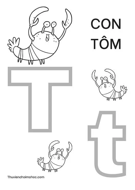 Tô Màu Bảng Chữ Cái - Đắm Chìm Trong Sáng Tạo 51