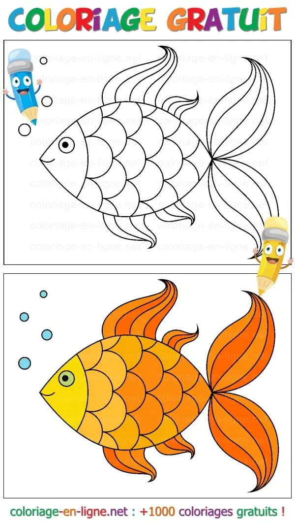 Tô Màu Con Cá Đẹp - Bộ Sưu Tập Hình Ảnh 38