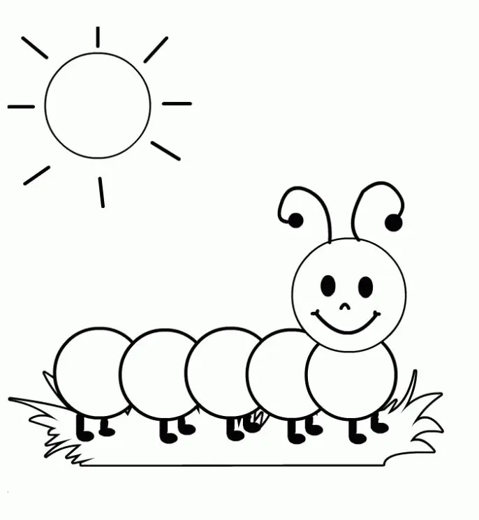 Tô Màu Con Vật Cho Bé Khám Phá Thế Giới Động Vật 4