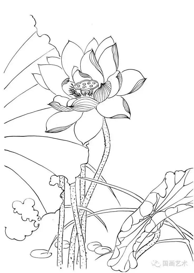 Tô Màu Hoa 5 Cánh Rực Rỡ Sắc Màu 10